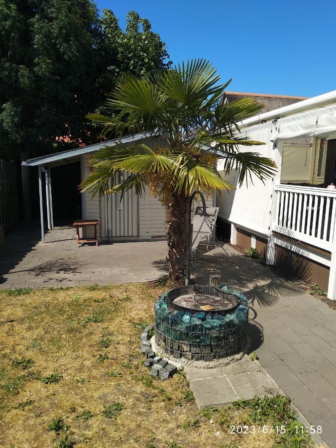 Beach Resort Nieuwvliet Bad - Nv 102 Eksteriør bilde